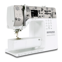 Category Bernina 350PE Special Editions image
