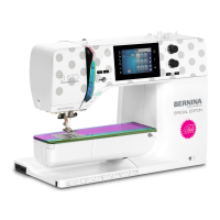 Category Bernina 570QE Tula Pink SE image