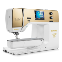 Category Bernina 770QE Anniversary Edition image