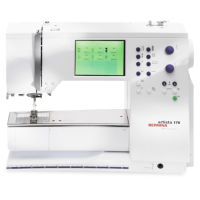 Category Bernina Artista 170 image